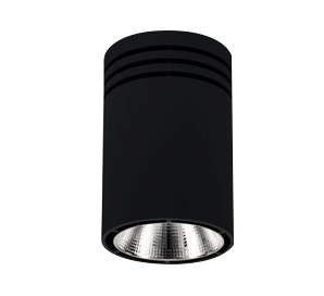 Surface mounted LED fixtures